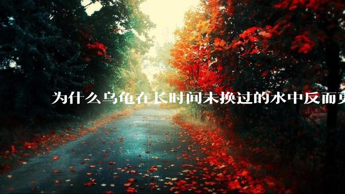 为什么乌龟在长时间未换过的水中反而更活跃？