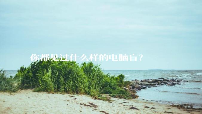 你都见过什么样的电脑盲？