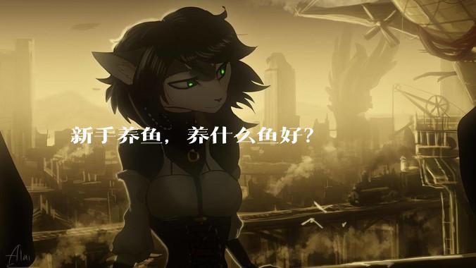 新手养鱼，养什么鱼好？