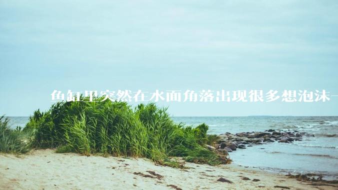 鱼缸里突然在水面角落出现很多想泡沫一样的气泡是怎么回事？