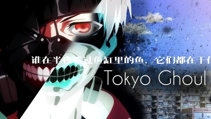 谁在半夜看过鱼缸里的鱼，它们都在干什么？